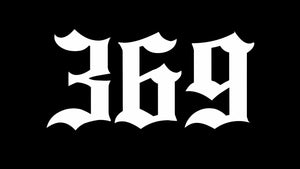 The 369 World